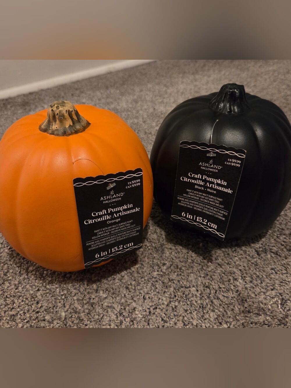Ashland Carvable Pumpkin Pair - Orange & Black Crafting & Decoration